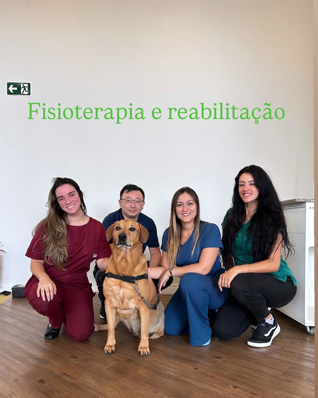 Dra. Kah com a equipe de fisioterapia e reabilitação e um cão paciente